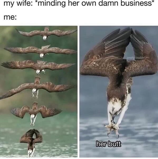 funny memes14