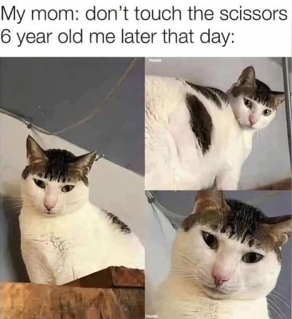 funny memes19