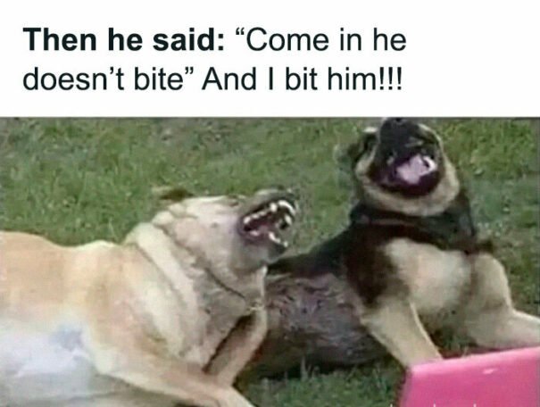 funny memes2 e1731376371932