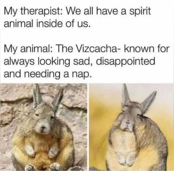 funny memes22