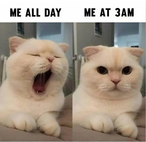 funny memes2328