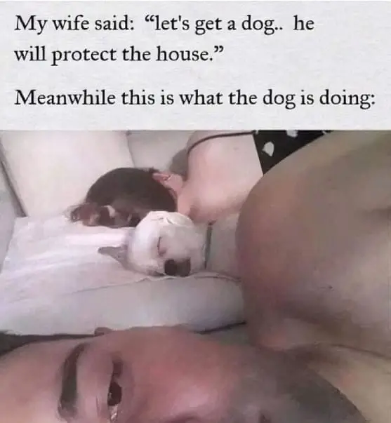 funny memes25