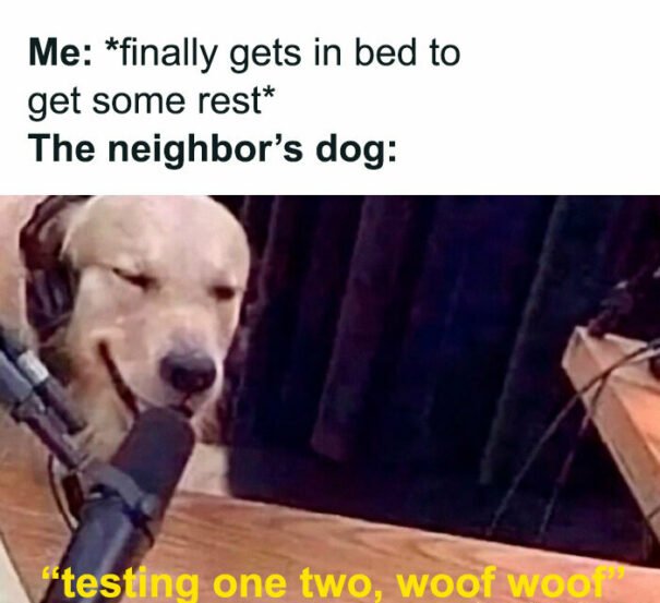 funny memes3 e1731376393708