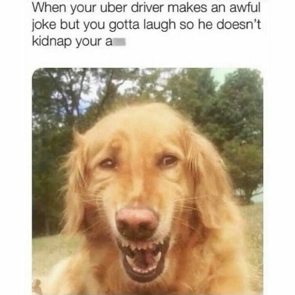 funny memes5