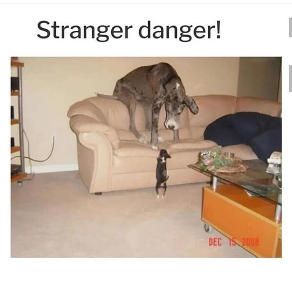 funny memes7