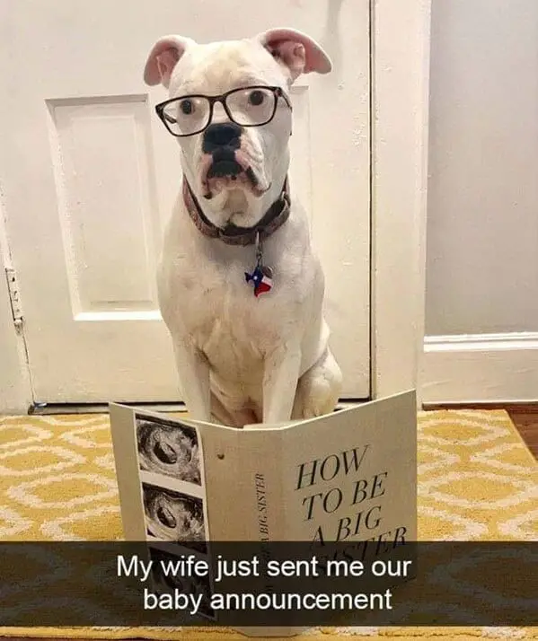 funny memes9