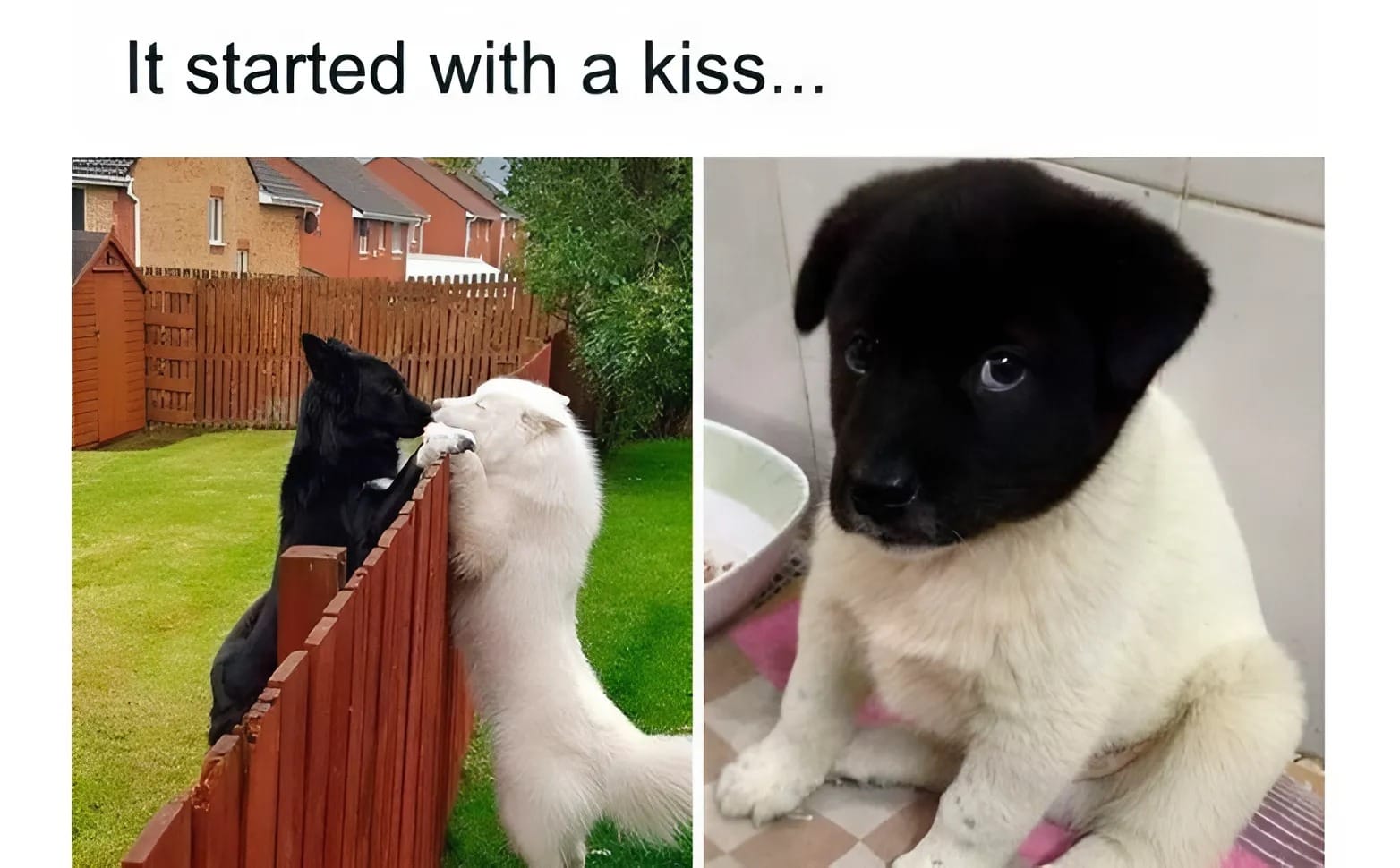 35 Hilarious Memes That’ll Turn Your Day Around