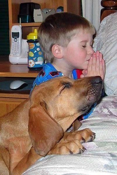kids and dogs10