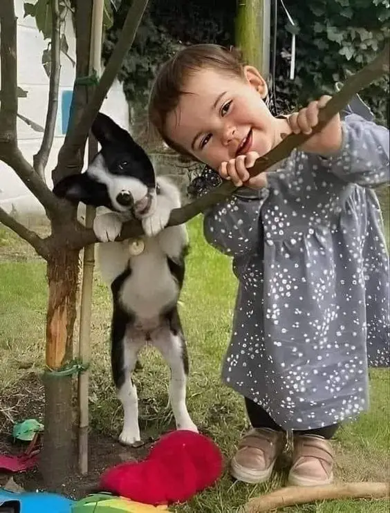kids and dogs11