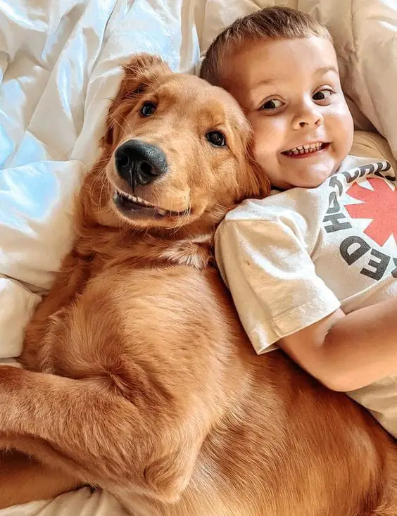 kids and dogs12