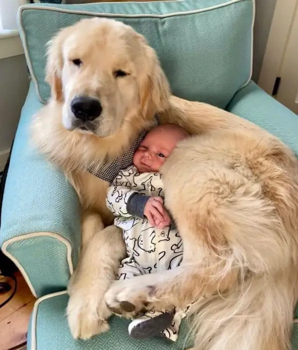 kids and dogs2