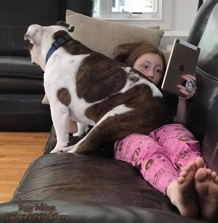 kids and dogs3