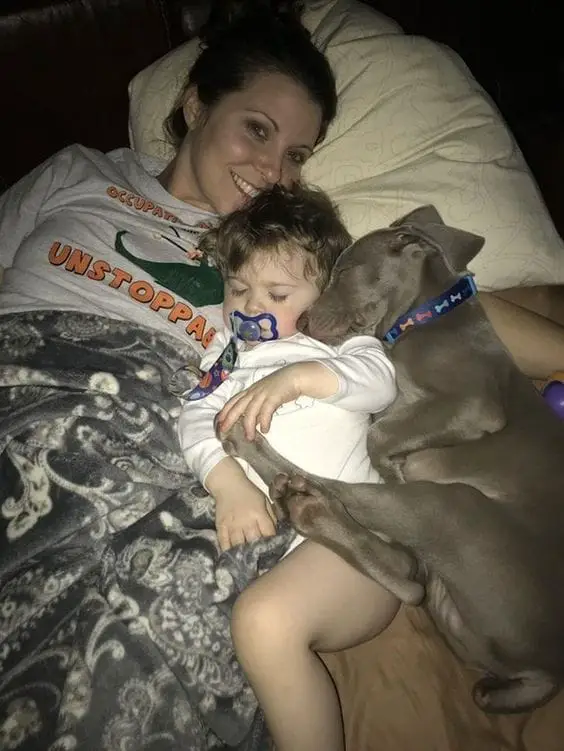 kids and dogs4