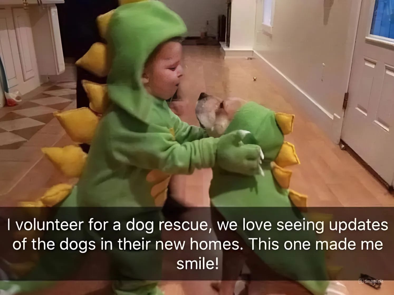 20+ Dog Memes Funny to Make You Wonder Who’s Training Who