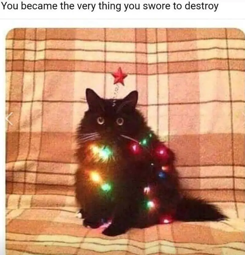 became very thing swore destroy 00