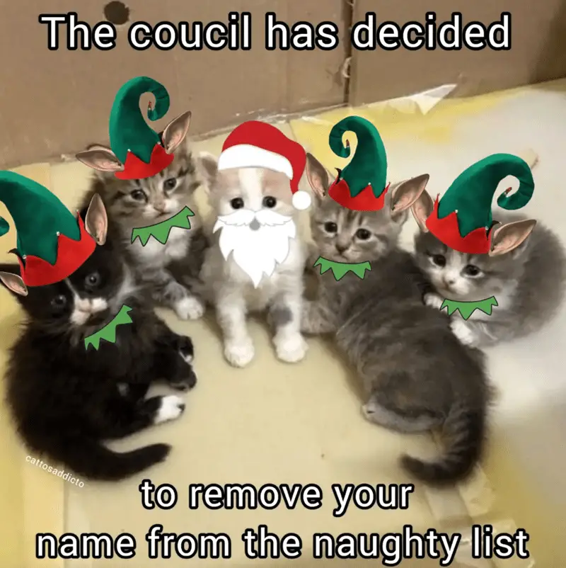 coucil has decided cattosaddicto remove name naughty list