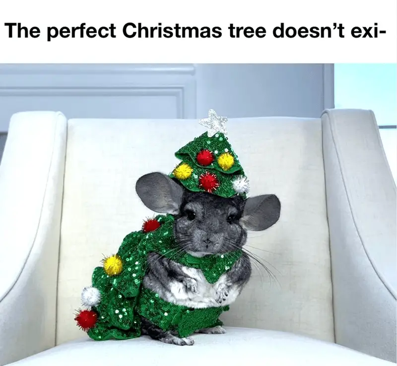 perfect christmas tree doesnt